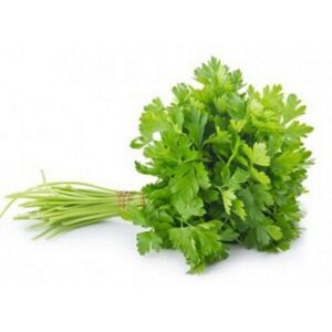 SALSA HIDROPONICA UN