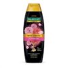 SHAMPOO PALMOLIVE ARGAN MARROQUINO 350ML