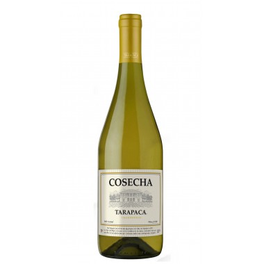 VINHO TARAPACA COSECHA CHARDONNAY 750ML