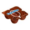 SOBREMESA DANONE DANETTE CHOC LVPG 360G