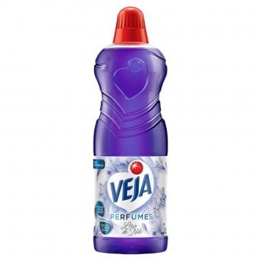 DESENGORDURANTE CIF COZINHA DER GORD 450