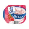 IOGURTE GREGO TRAD 450g