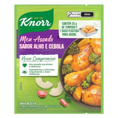 TEMPERO KNORR MEU ASSADO ALHO CEBOLA 25G