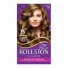 TINTA KOLESTON CAST MD40