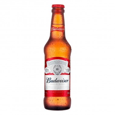 CERVEJA BUDWEISER LONG NECK 330ML