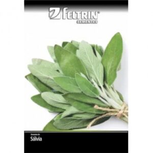 SEMENTE FELTRIN SALVIA P/TEMPERO