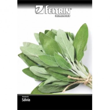 SEMENTE FELTRIN SALVIA P/TEMPERO