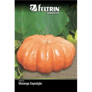 SEMENTE FELTRIN MORANGA EXPOSICAO