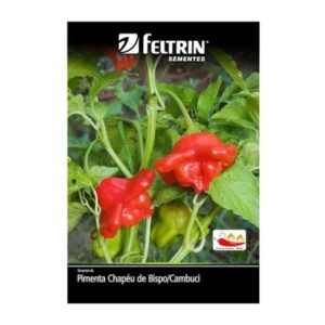 SEMENTE FELTRIN PIMENTA CHAPEU DE BISPO