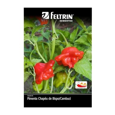 SEMENTE FELTRIN PIMENTA CHAPEU DE BISPO