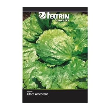 SEMENTE FELTRIN ALFACE AMERICANA GL