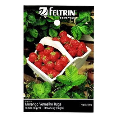 SEMENTE FELTRIN MORANGO VERMELHO RUGE