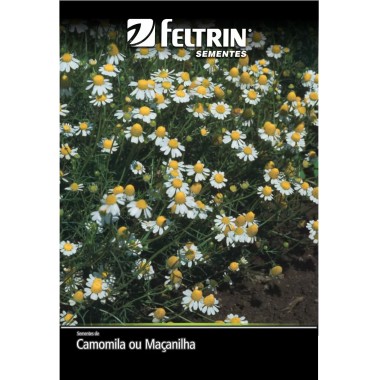 SEMENTE FELTRIN CAMOMILA OU MACANILHA