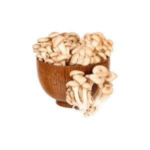 HORTI COGUMELO SHIMEJI BR